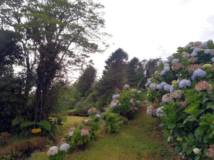 La Cabana هيريديا المظهر الخارجي الصورة